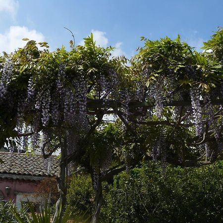 B&B Velardi Viagrande Exteriör bild