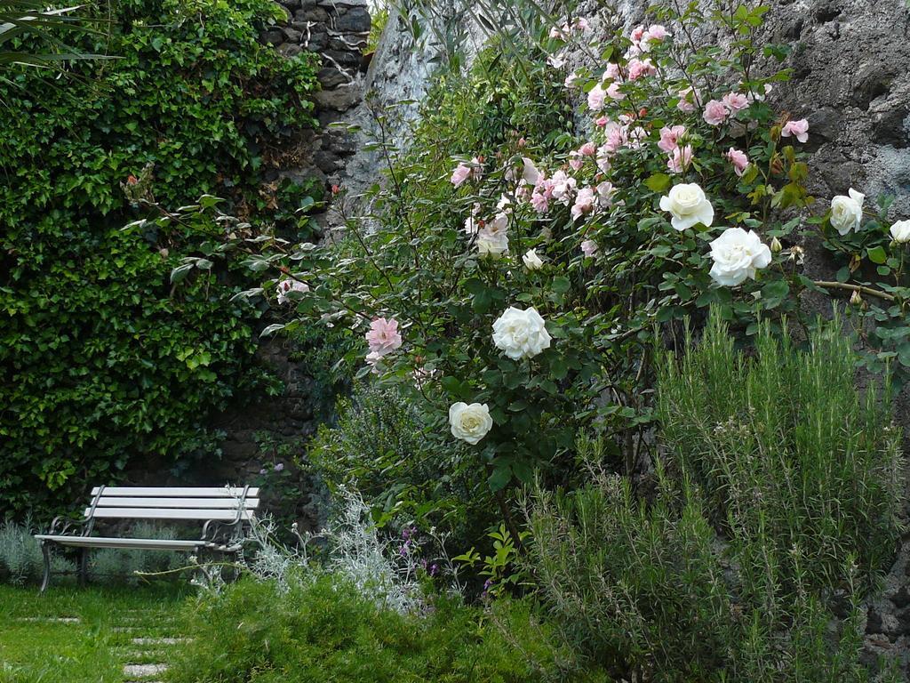 B&B Velardi Viagrande Exteriör bild
